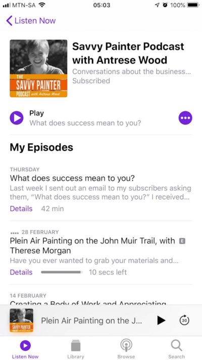 The Savvy Painter Podcast Screenshot
