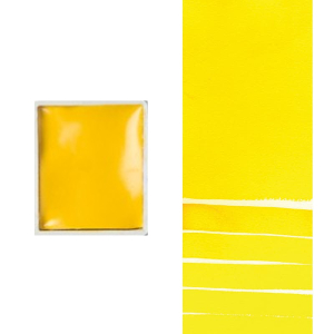 Akademie Watercolor Half Pan, #224 Cadmium Yellow Hue – St. Louis