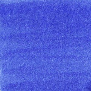 4902505492648