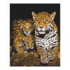 paint-by-numbers-nocturnal-leopards