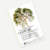 Landscape drawing and colouring book