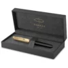 51 Deluxe Fountain pen