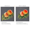 PastelGrain side by side
