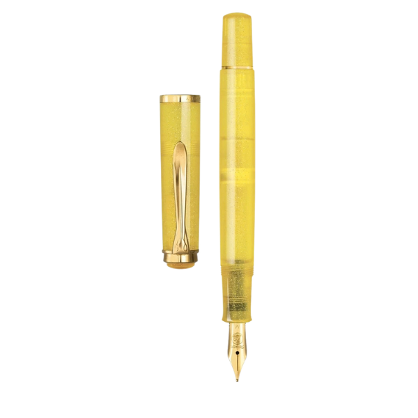 Pelikan Classic M200 Pyrite Special Edition Fountain Pen 2