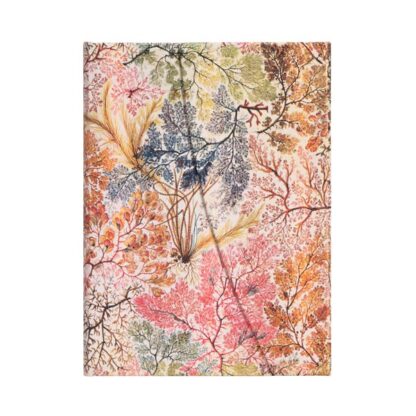 Paperblanks-Anemone-Front
