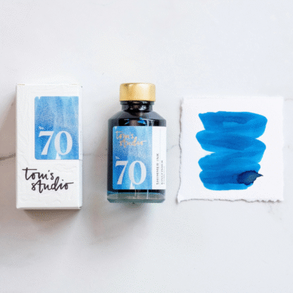 Tom's Studio Kingfisher