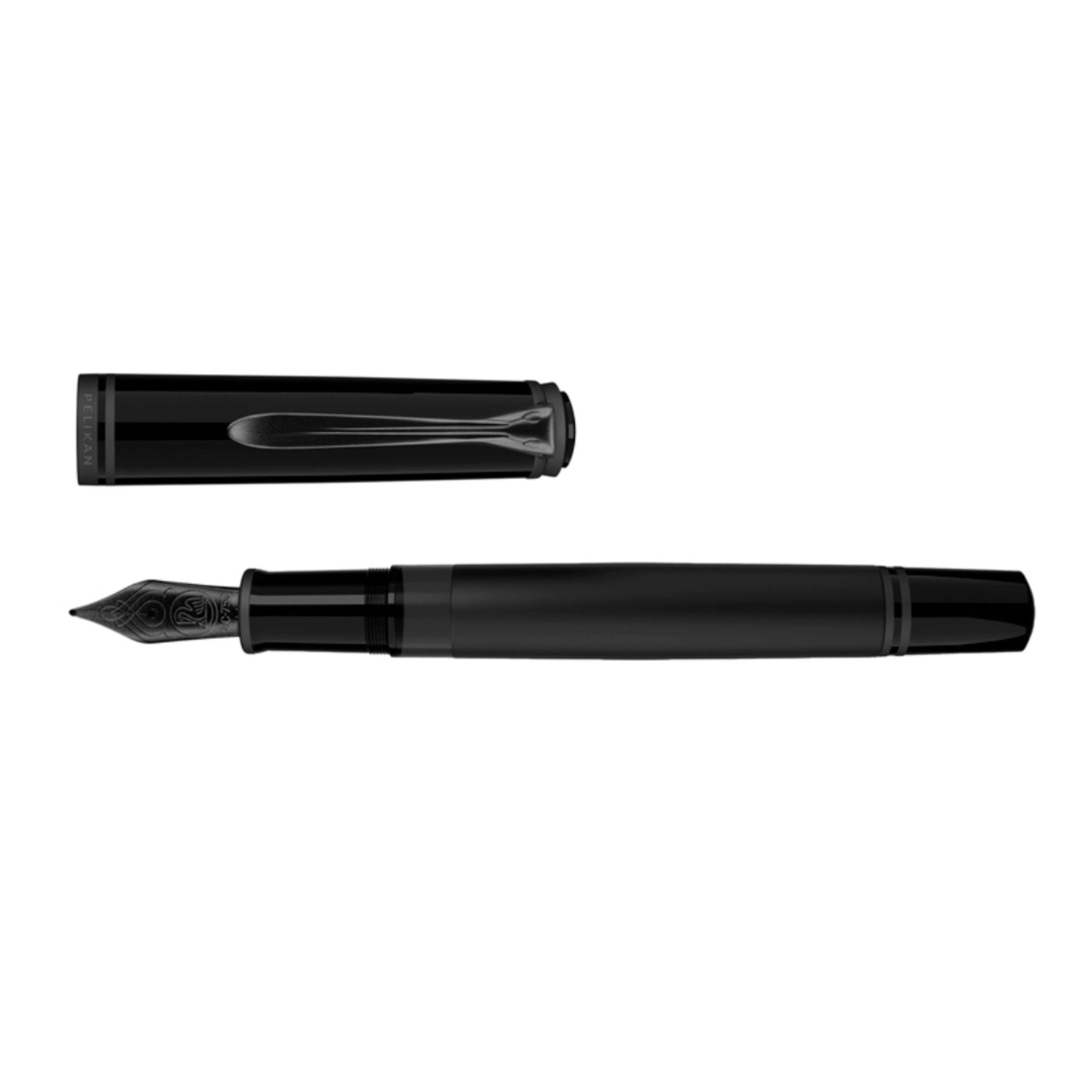 Special Edition Souverän M809 Fountain Pens - Pelikan