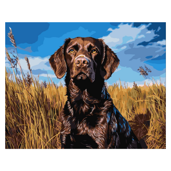 SINOART PAINT BY NUMBERS DOG 40X50CM