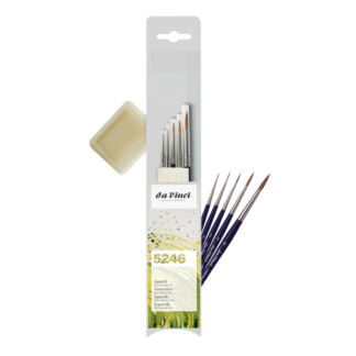 DA VINCI 5246 MULTI SABLE BRUSH SET OF 5 + SOAP cover