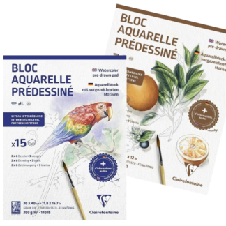 Watercolour Introduction Pre-drawn Painting Pad - Clairefontaine